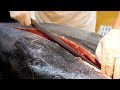 Giant Bluefin Tuna Cutting - Tuna Sashimi and Sushi