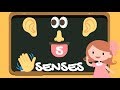 Understanding the Five Senses