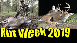 White Tailed Deer | Preston's 2 Big Bucks! by The Handy Hunter 1,959 views 4 years ago 8 minutes, 31 seconds