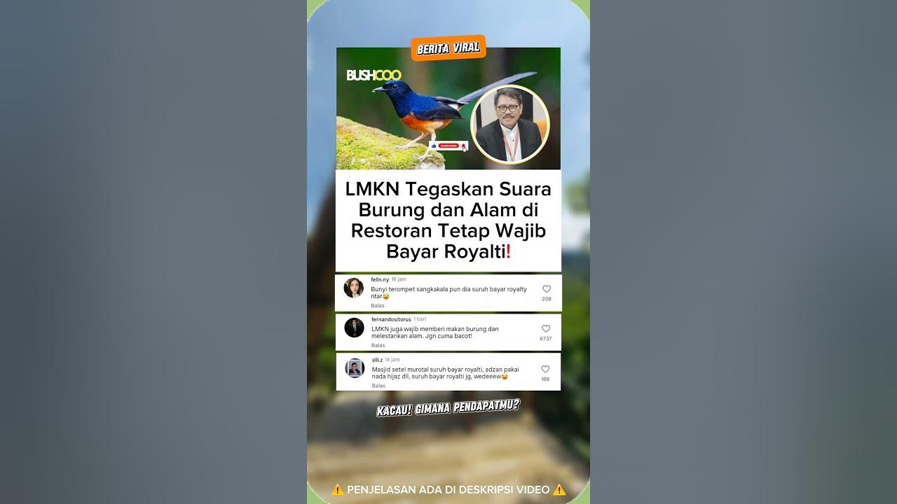 Suara burung juga bayar royalti⁉️🙄
