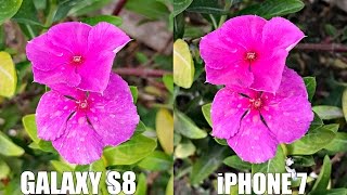 [URDU/HINDI] iPhone 7 Plus Camera VS Samsung Galaxy S7 Edge | Photo Comparison | 2017