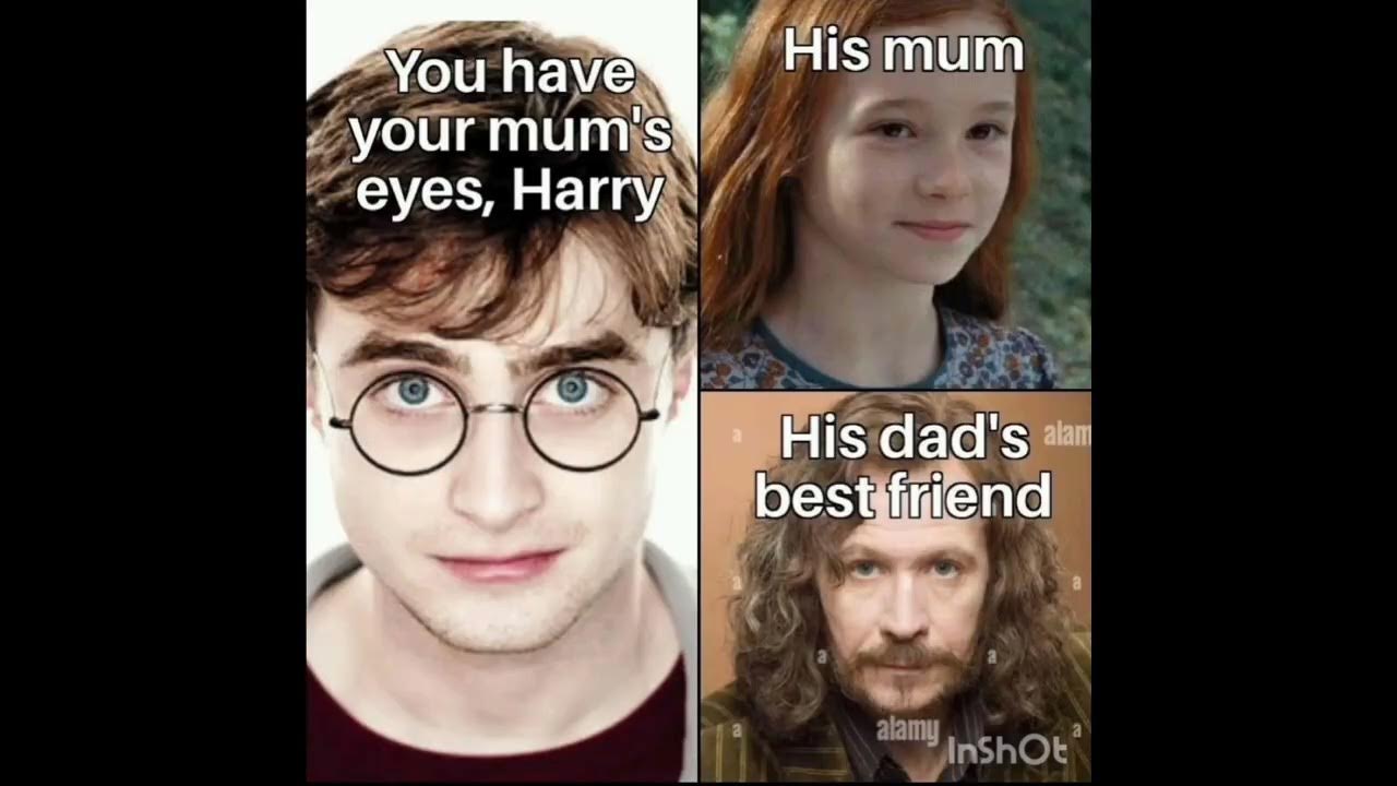 😂😂😂🤣🤣  Harry potter memes, Harry potter jokes, Harry potter