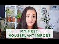 FIRST HOUSEPLANT IMPORT | AROIDASIA | HOUSEPLANT UNBOXING | Rare Houseplants  Indoor Plants