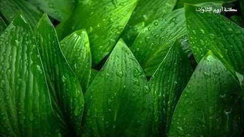 سورة المائدة تلاوة القارئ أحمد سعيد العمراني