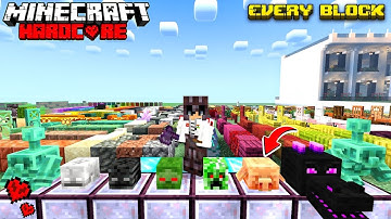 "I Collected EVERY Block in Minecraft Hardcore (Took 100+ Hours)"