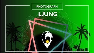 LJUNG - Photograph (Ft. Haneri) [Lyric Video]