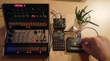 Evening // Volcas, PO-20, Monotron delay, Bastl Kastle
