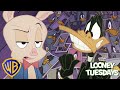 Looney Tuesdays | Porky&#39;s Master Plan |  @wbkids​