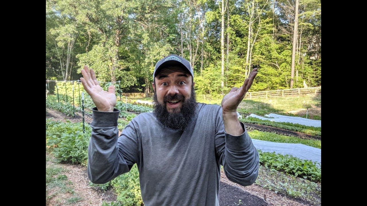 Why Am I Doing This?