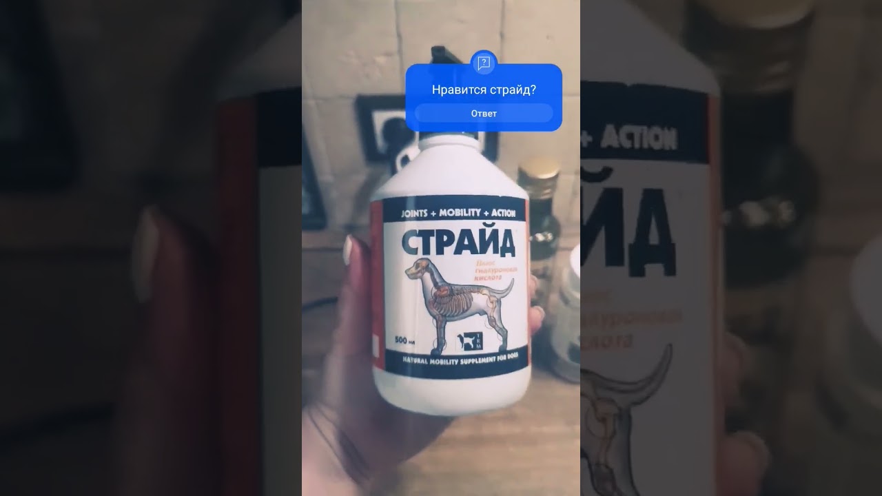 Страйд - препарат для собак)