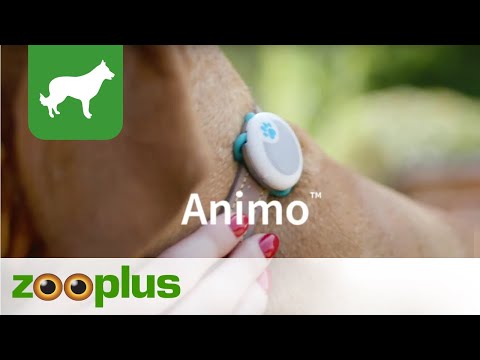 Animo Activity Tracker | zooplus.co.uk