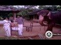 Owner training his elephant  gajakesariyogam  malayalam movie scene