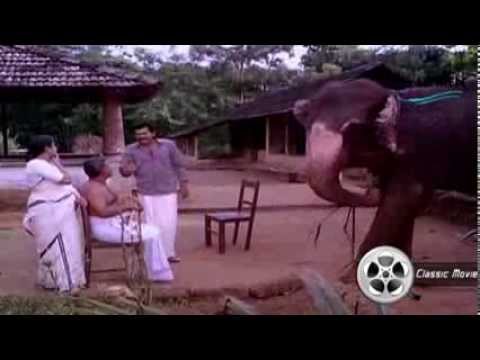 Owner Training His Elephant  Gajakesariyogam  Malayalam Movie scene