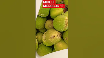 نسالك يا ارحم الراحمين فرح هم المهمومين امين مدينتي Nature اكسبلور ميدلت فاكهة التنين Midelt 