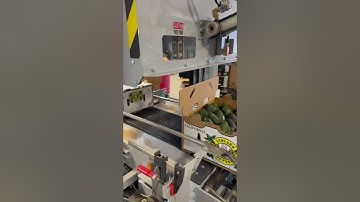 High speed Avocado 🥑 lug closer