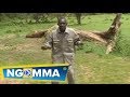 Ni nguthata - Paul M. Muthama (Kana mbovi) (Official video)