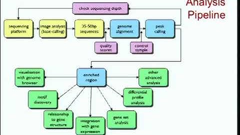 Dr. Peter Park | Identification of enriched regions in ChIP-seq and whole-genome sequencing data