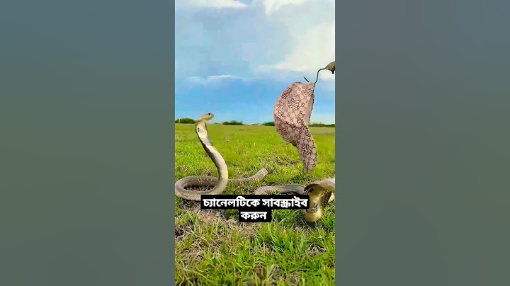 দেখে বুঝতে পারছেন সাপ কখনো নিজের থেকে কামড়ায় না। 🐍🐍🐍🐍#shortsvideo #cobras #viral #shorts