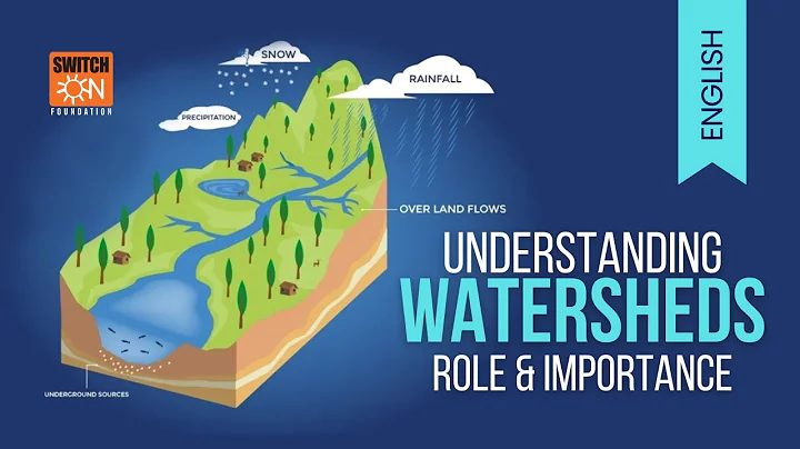 Watersheds Explained: Essential Guide to Water Management & Conservation | ENGLISH