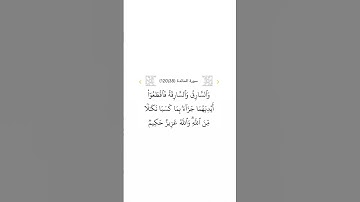 سورة المائدة ٣٨