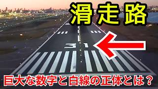 【航空知識】2024年羽田の教訓から導入が進む最新システムと「滑走路標識」の謎
