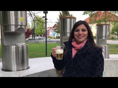 Fontana della birra di Zalec Slovenia