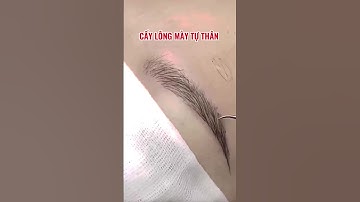 CẤY LÔNG MÀY TỰ THÂN LÀM 1 LẦN ĐẸP TRỌN ĐỜI | EYEBROW TRANSLANT