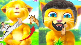 talking ginger funny videos || talking ginger cat || talking ginger 2 || talking tom || 🍒🍓🍎🌶️