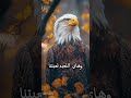 هاي الساحة ساحتنه