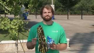 Gibbs Stadium Goes Zero Waste