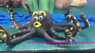 Tentacle's everywhere. stop motion short. Octopus at the rock river