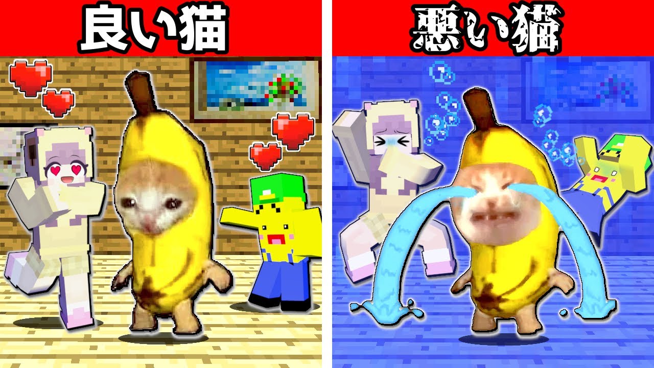 【超怖い猫ミーム😱】捨てられたバナナ猫を拾った結果⁉️【マイクラ Minecraft】ぽっぴんず