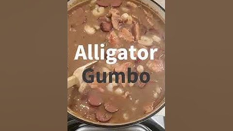 Alligator Gumbo