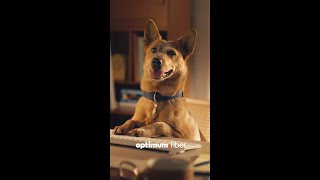 CS-23238 • OMS Orangnic Social Gus EAST Meta  9x16-.mp4