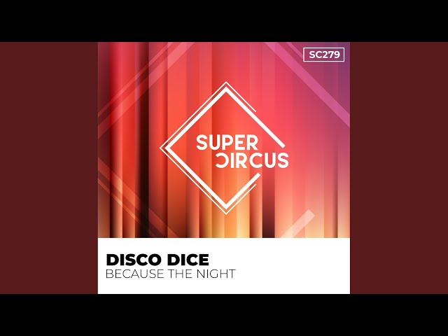 Disco Dice - Because The Night