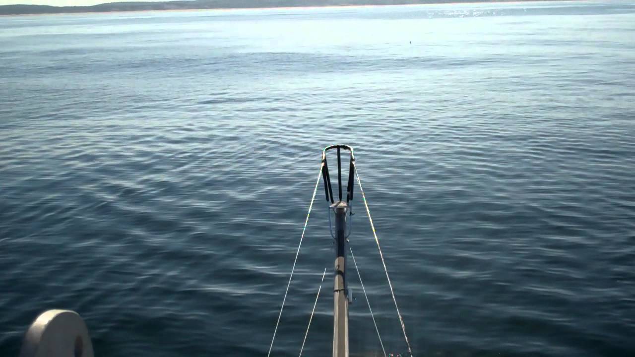 Bluefin tuna harpooning F/VChristina6272011 YouTube