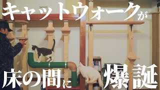 【素人DIY】床の間がキャットウォークになったネコ版SASUKEがDIYで爆誕、ネコ様大歓喜