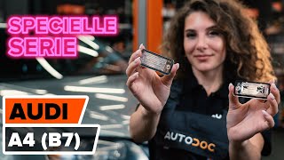 Montering af Gearkasseolie AUDI A4 (8EC, B7): gratis video