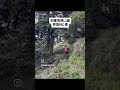 審馬陣山屋更換PAC儲存桶