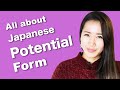 How to say I can /I can't / I could / I couldn't (Japanese potential form)