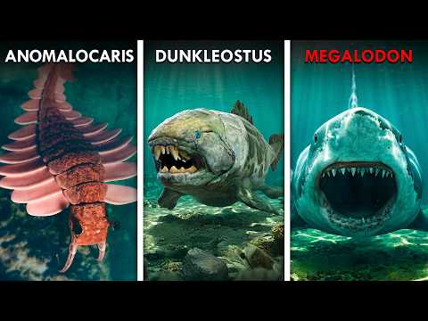 Thumbnail for The Largest Predators In The Ocean Ever