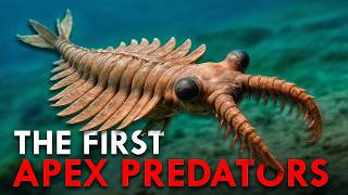 Who Has Held The Crown For Biggest Apex Predator In The Sea?
