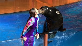 Sea Lion Tonite 2017 (Amazing PreShow + Full Show) SeaWorld San Diego, June 3 Night Special Show