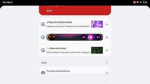 Closing to Kubo & The Two Strings 2016 DVD