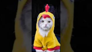 Fnaf Fangame Cluck Yegger In Escape From The Planet Of The Poultroid Jumpscares