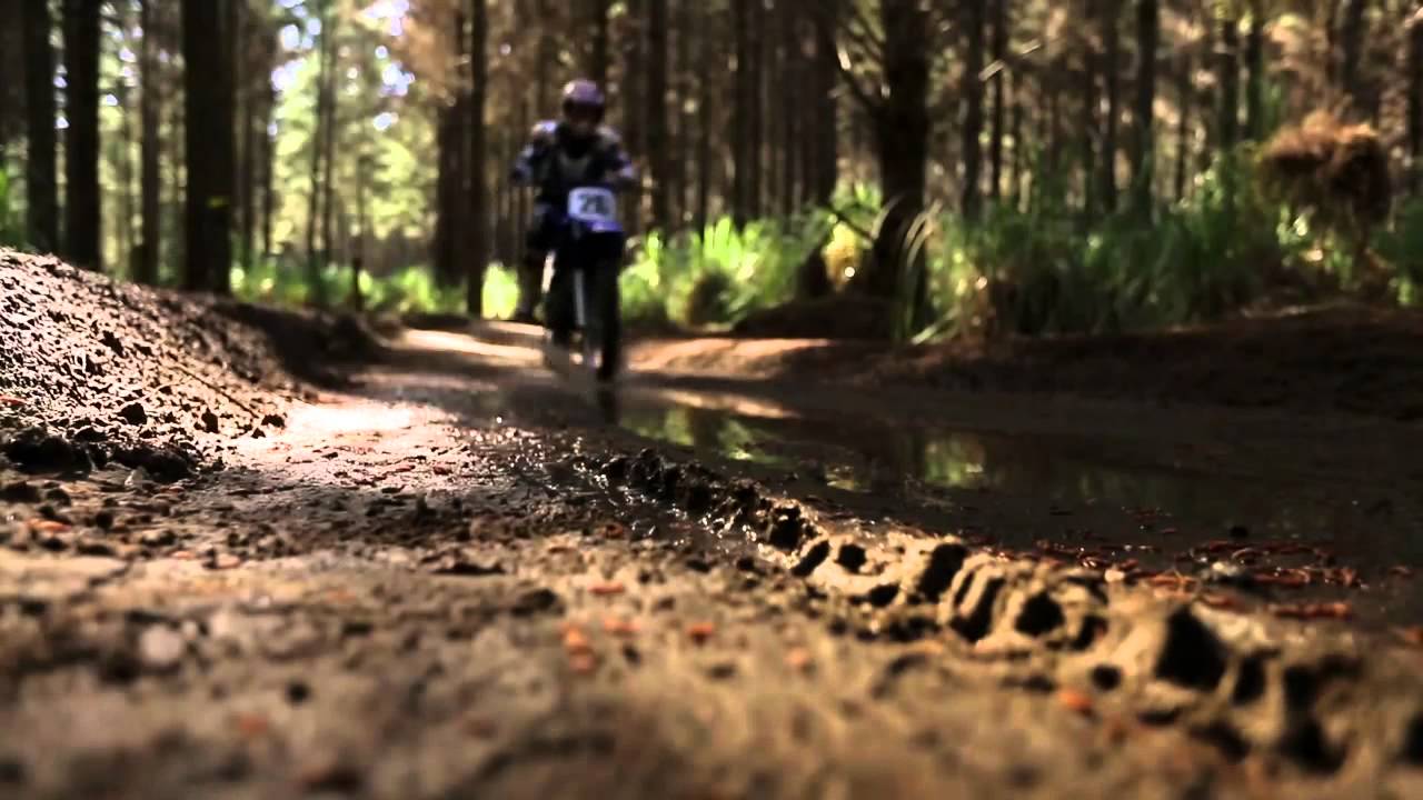 The Born Friends Family Portrait    a unique friendship brought together by Skype