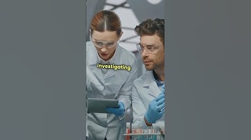 Can We Erase Memories with Technology? 🧠❌