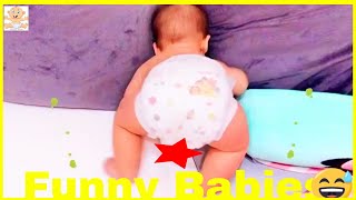 Lovely Moments When Babies Fart #6  Funny Baby Videos