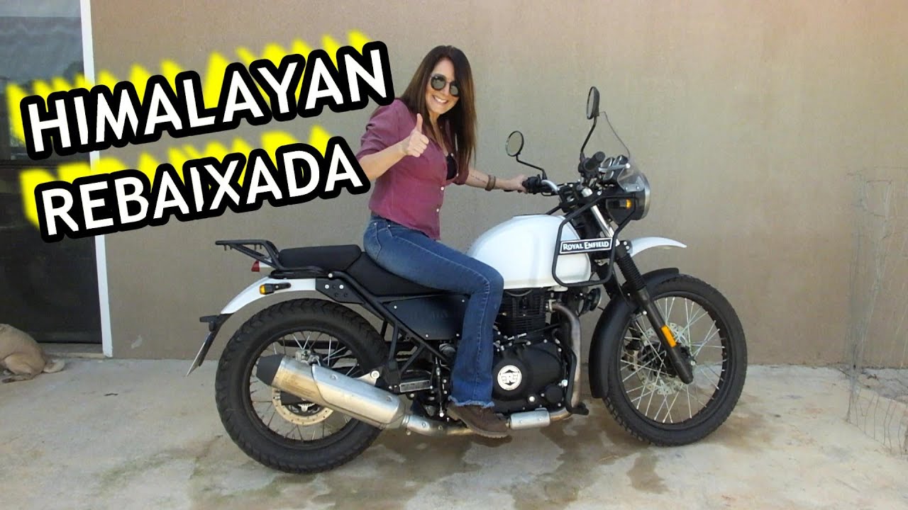 Himalayan rebaixada!