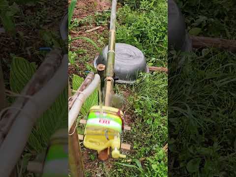 حل عملي لطرد الطيور من الحقل باستخدام صوت وارتداد 